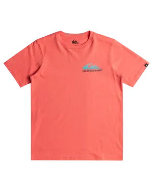 Boys Omni Wave T-Shirt in Spiced Coral